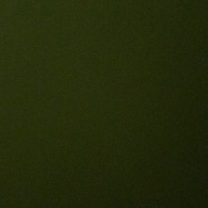 Meet your Posher, Fatina